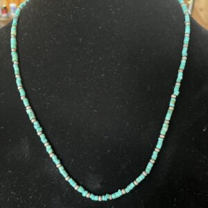 Product Image: Turquoise with Navajo pearls.