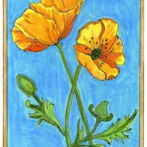 Product Image: Poppies Card