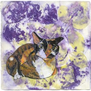 Product Image: Spare Parts Cat Card