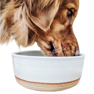 Product Image: Stoneware Dog Bowls