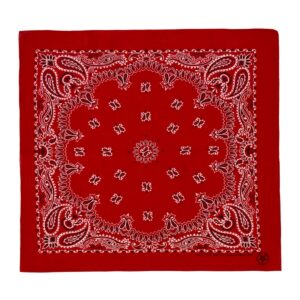 Product Image: 1980’S WAMCRAFT MADE IN USA RED SELVEDGE COLORFAST BANDANA