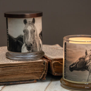 Product Image: Apricots and Mustangs Candles – Kisa Kavass
