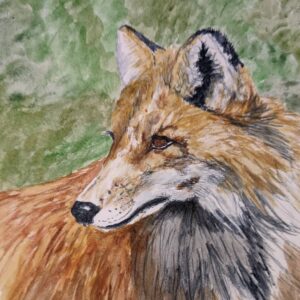 Product Image: “Fox #6”