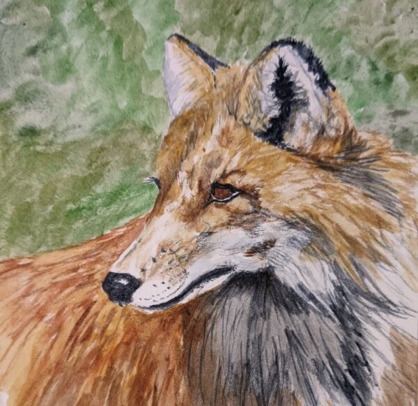 Product Image: “Fox #6”