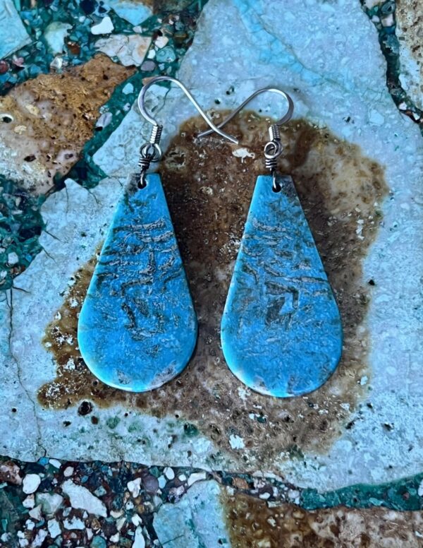 Product Image: Pretty Turquoise Slab Earrings