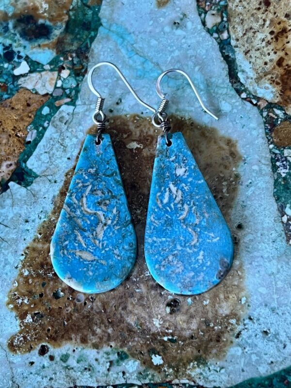 Product Image: Pretty Turquoise Slab Earrings