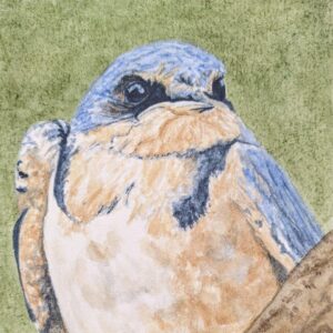 Product Image: “Barn Swallow #2”