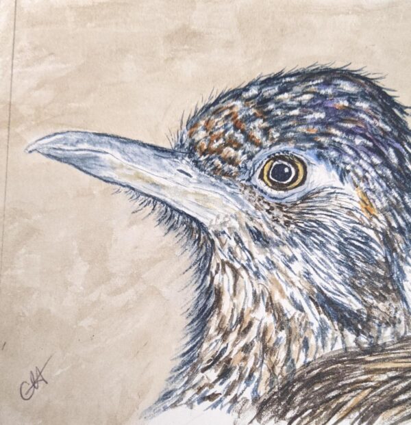 Product Image: “Roadrunner #5”