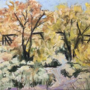 Product Image: “Camino Real Trail, Autumn, 2024”