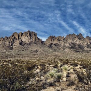 Product Image: Organ Mountain Range