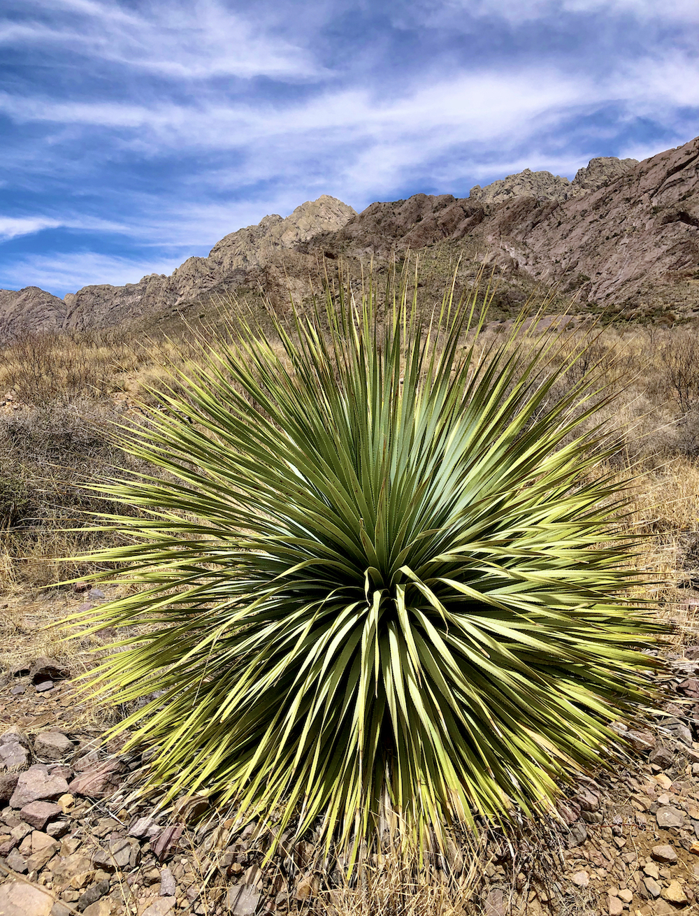 Santa Fe Marketplace Dripping Springs New Mexico Product Image: Dripping Springs New Mexico