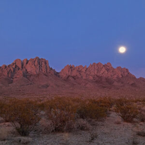 Product Image: Landscape: Organ Mountain Range