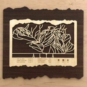 Product Image: Alta Trail Map