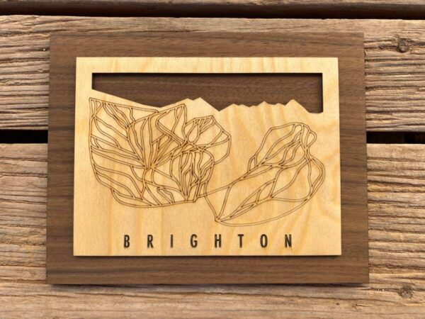 Product Image: Small Brighton Trail Map