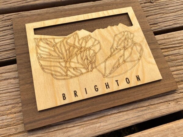 Product Image: Small Brighton Trail Map