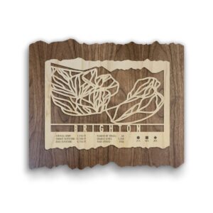 Product Image: Brighton Ski Trail Map