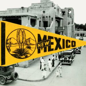 Product Image: Vintage New Mexico Pennant Framed
