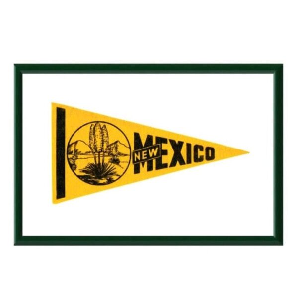 Product Image: Vintage New Mexico Pennant Framed