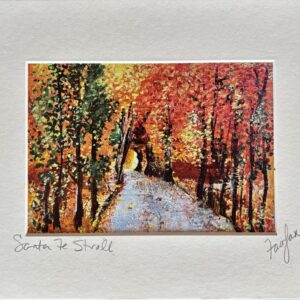Product Image: Santa Fe Stroll
