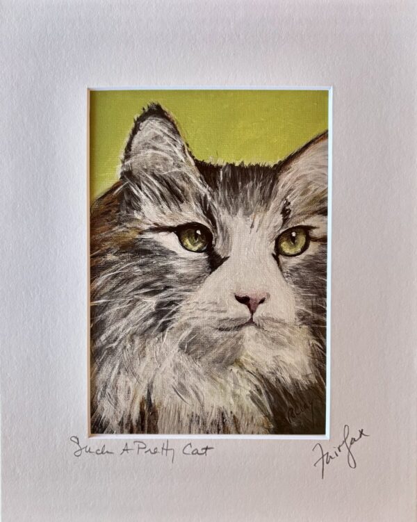 Product Image: Such A Pretty Cat