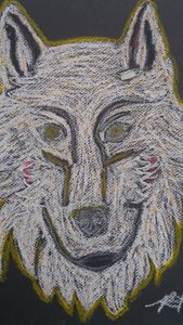 Product Image: Curious Wolf NEW -2025-