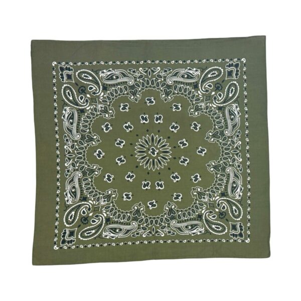 Product Image: 1990’S PAISLEY MADE IN USA OLIVE BANDANA