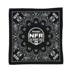 Product Image: 2000’S DODGE RAM RODEO PAISLEY PRINTED BANDANA
