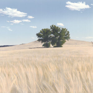 Product Image: “Americana” Archival Pigmented Print (Giclee)