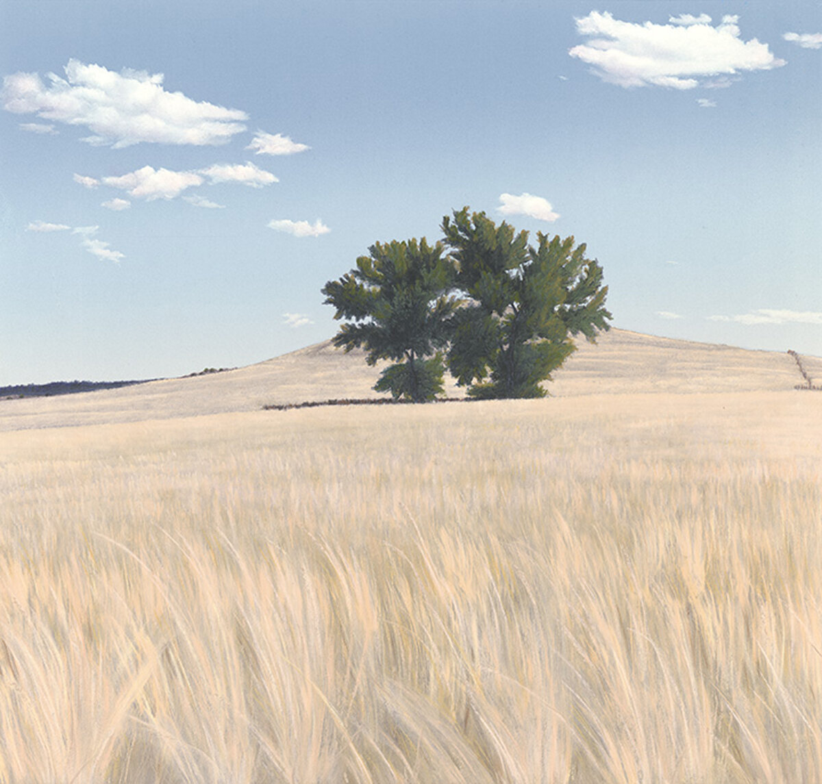 Product Image: “Americana” Archival Pigmented Print (Giclee)