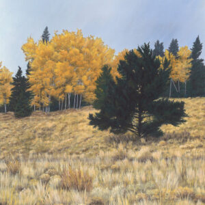 Product Image: “Caminando Por La Mesa Hamilton” Archival Pigmented print 10″ x 9 1/4″