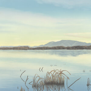 Product Image: “Bosque En Bernardo” Archival Pigmented Print (Giclee)