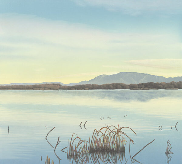 Product Image: “Bosque En Bernardo” Archival Pigmented Print (Giclee)