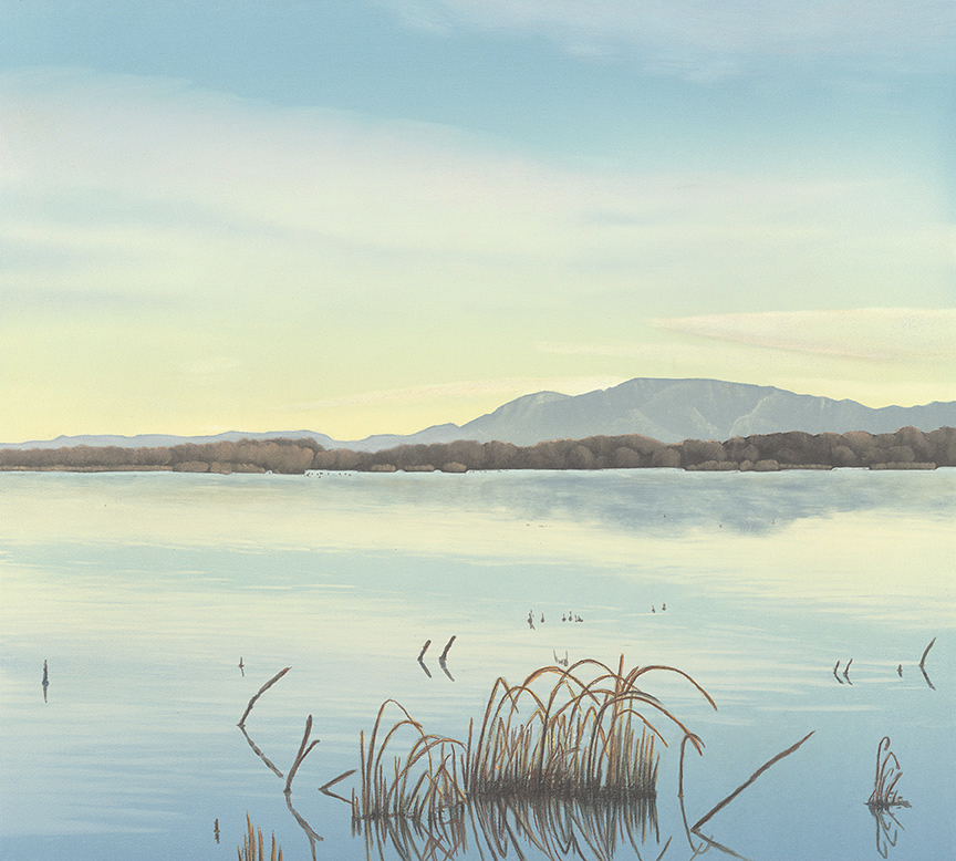 Product Image: “Bosque En Bernardo” Archival Pigmented Print (Giclee)