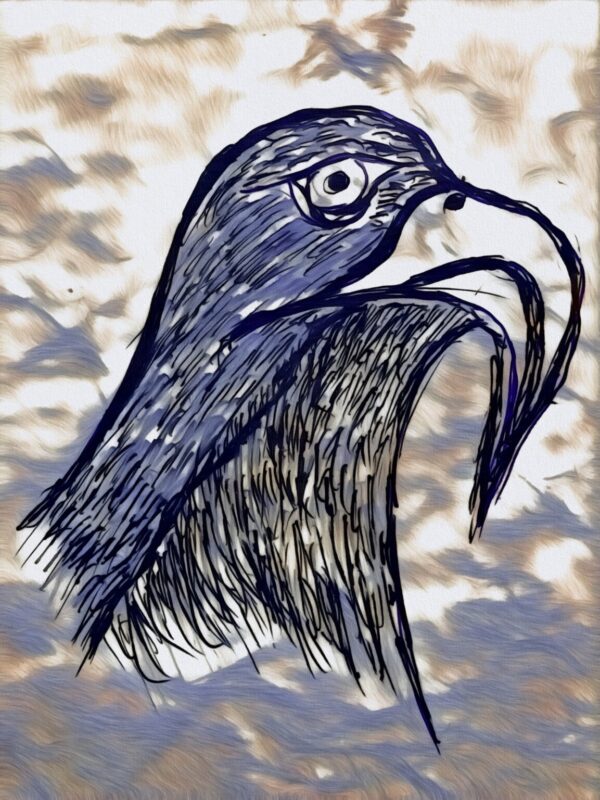 Product Image: American Eagle “Fly” NEW 2025