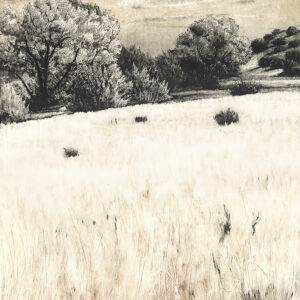 Product Image: “Llano, La Cienega” Archival Pigmented Print (Giclee)