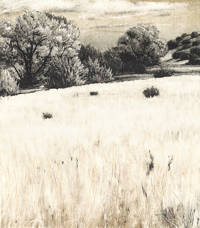 Santa Fe Marketplace “Llano, La Cienega” Archival Pigmented Print (Giclee) Product Image: “Llano, La Cienega” Archival Pigmented Print (Giclee)