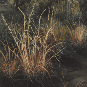 Product Image: “Adios Al Sol” Archival Pigmented Print (Giclee)