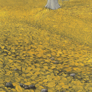 Product Image: “Alfombrado” Archival Pigmented Print (Giclee)