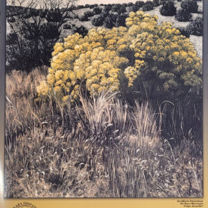 Product Image: “Felpa Amarilla” Poster issued by Contemporary Hispanic Market