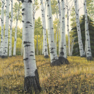 Product Image: “Aire Limpio” Archival Pigmented Print (Giclee)