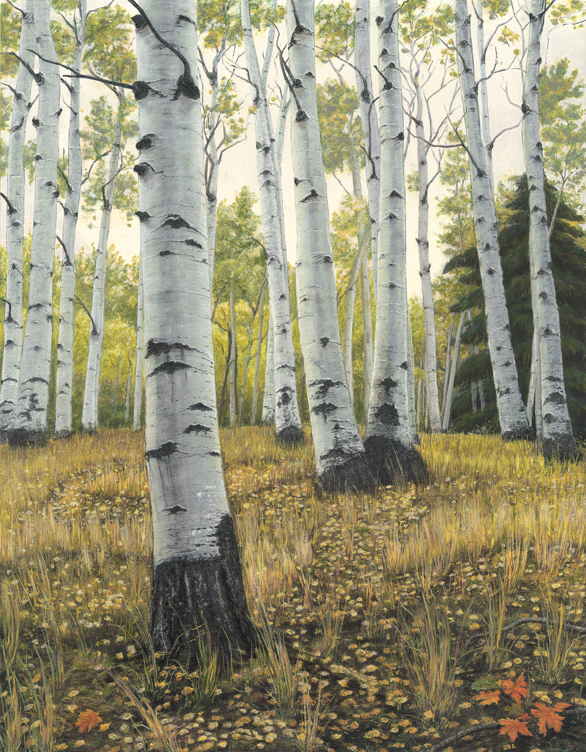 Santa Fe Marketplace “Aire Limpio” Archival Pigmented Print (Giclee) Product Image: “Aire Limpio” Archival Pigmented Print (Giclee)