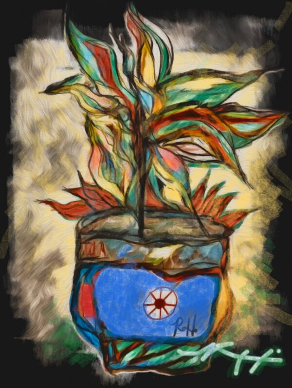 Product Image: Santa Fe Plant NEW 2025