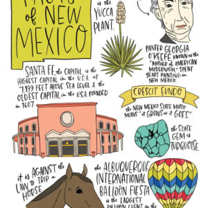 Product Image: State Facts: New Mexico Card