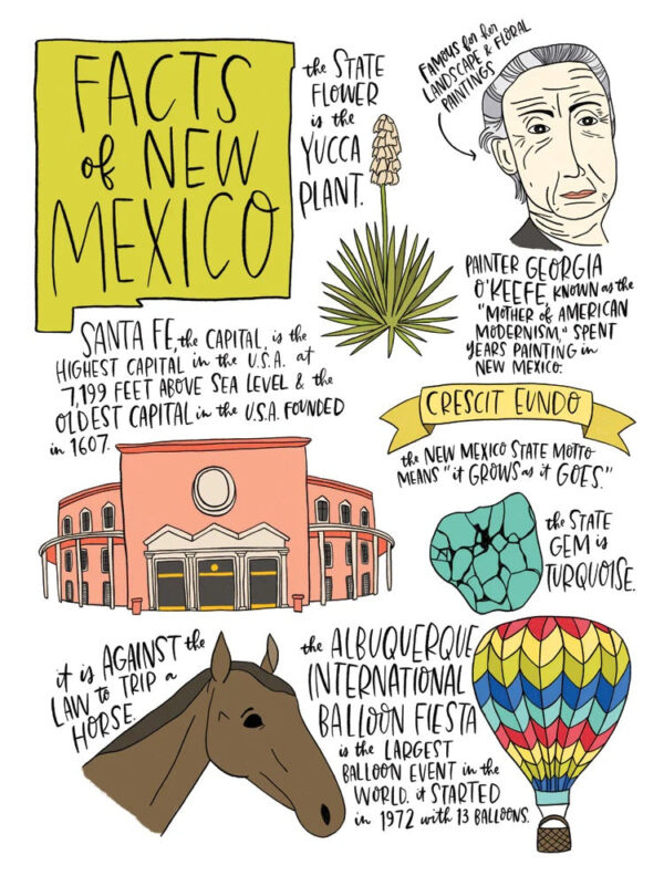Product Image: State Facts: New Mexico Card