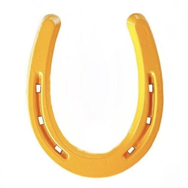 Product Image: Lucky Colorful Horseshoe