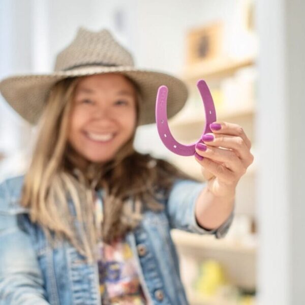 Product Image: Lucky Colorful Horseshoe