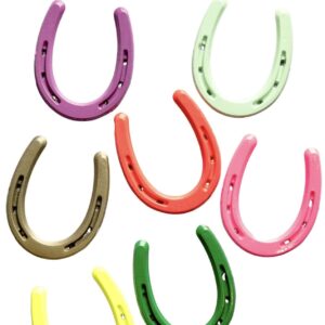 Product Image: Lucky Colorful Horseshoe