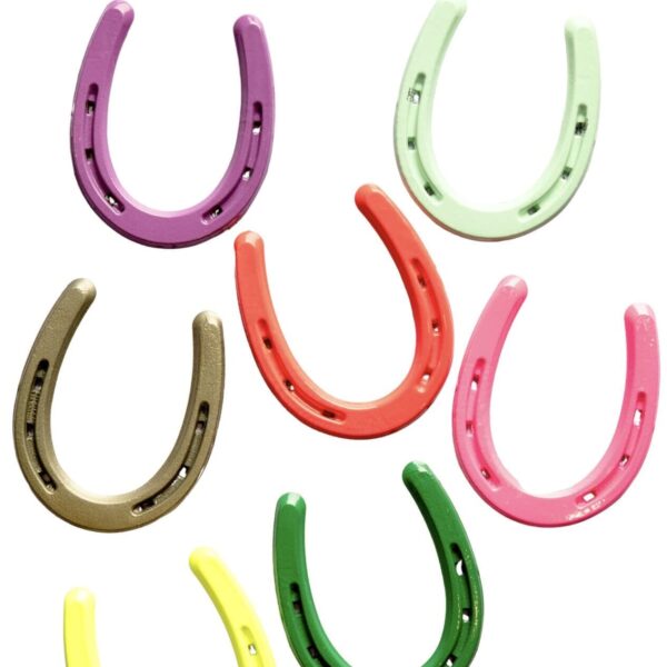 Product Image: Lucky Colorful Horseshoe