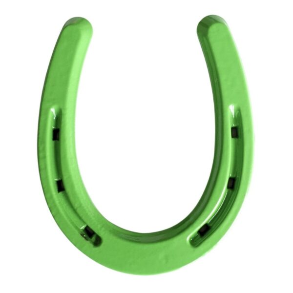 Product Image: Lucky Colorful Horseshoe