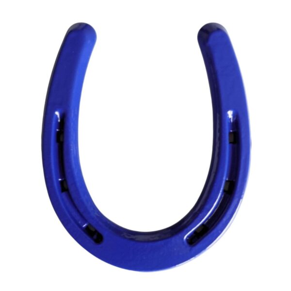 Product Image: Lucky Colorful Horseshoe